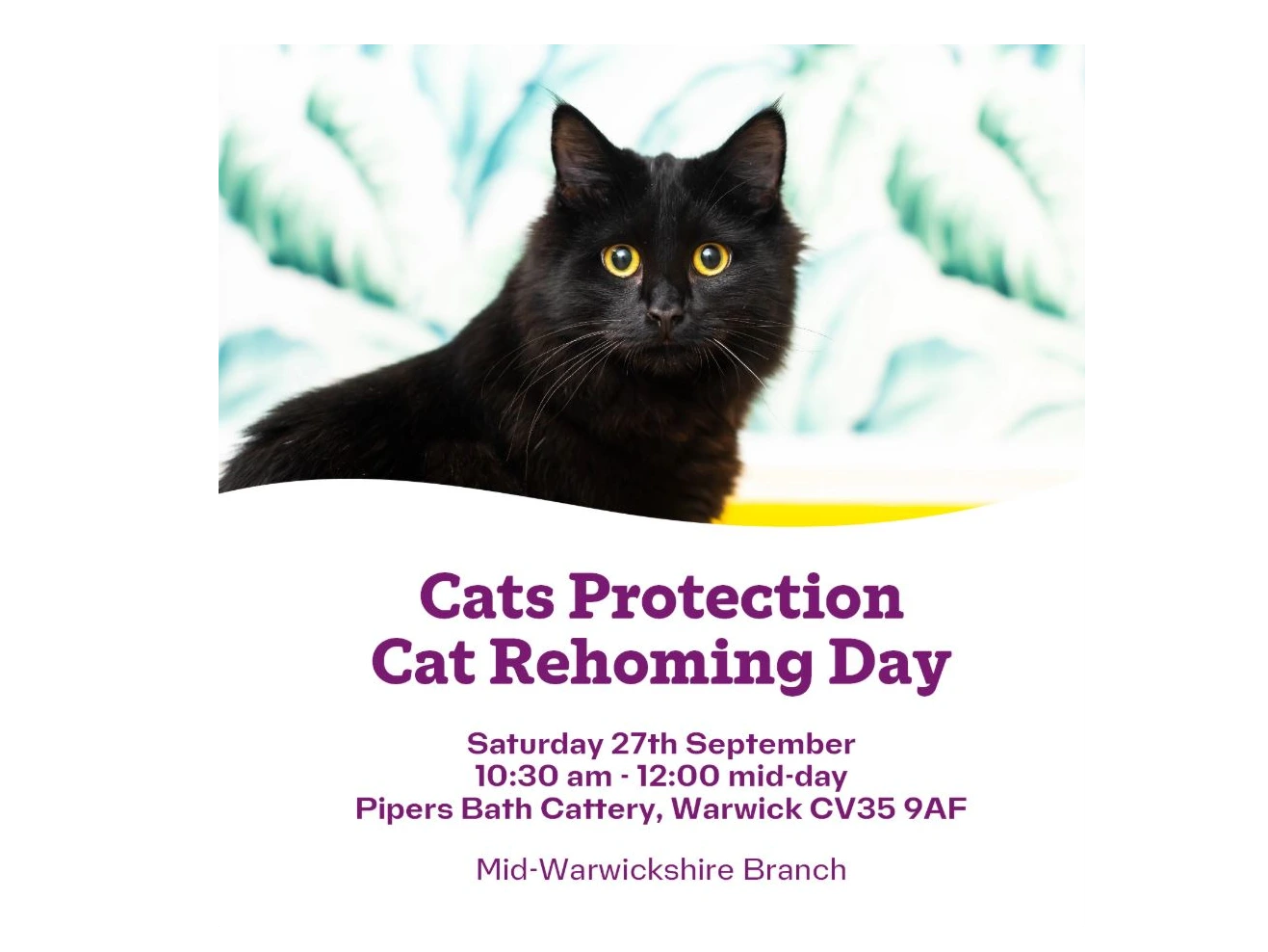 September 2025 Rehoming Day