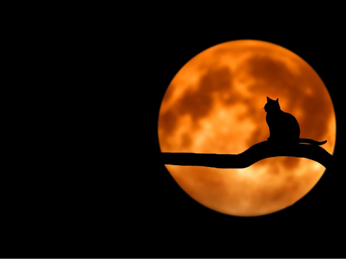 Grimsby Halloween Quiz Night
