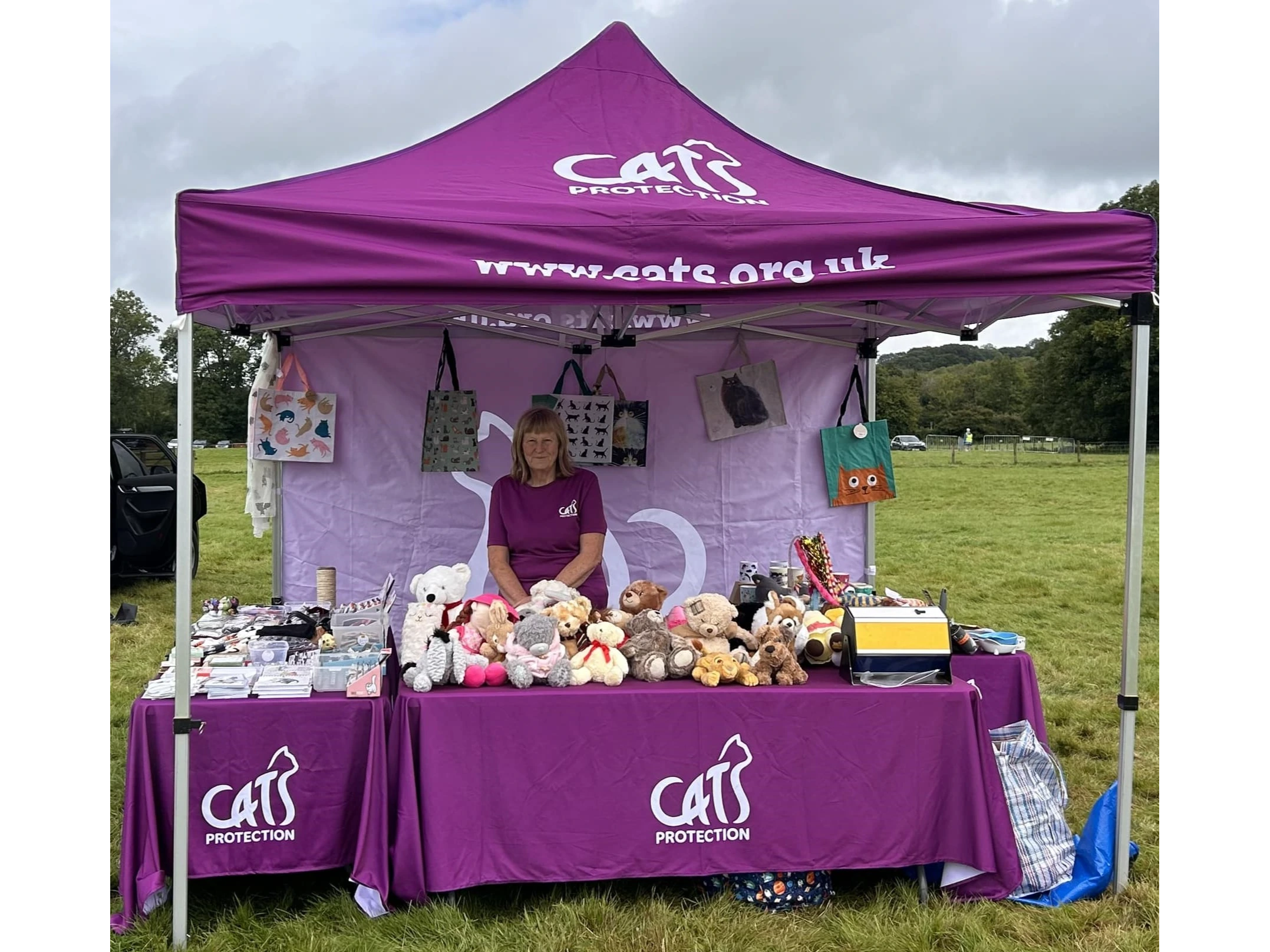Stall at Magor Frost Fayre