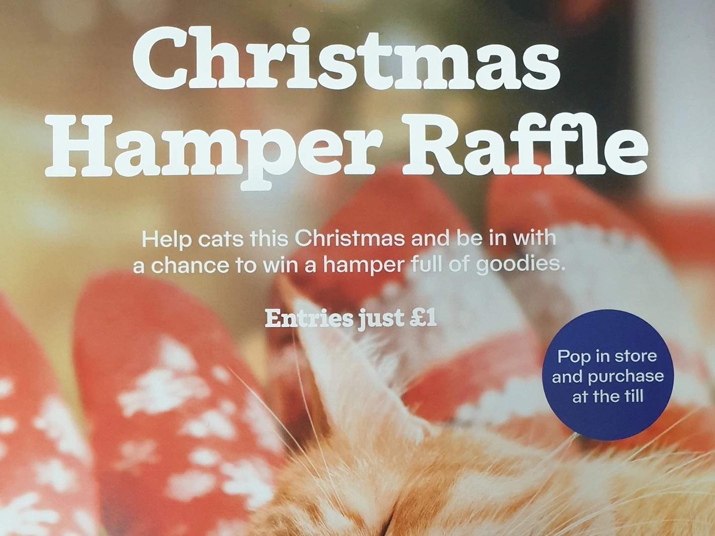Prizes in our Christmas Raffle