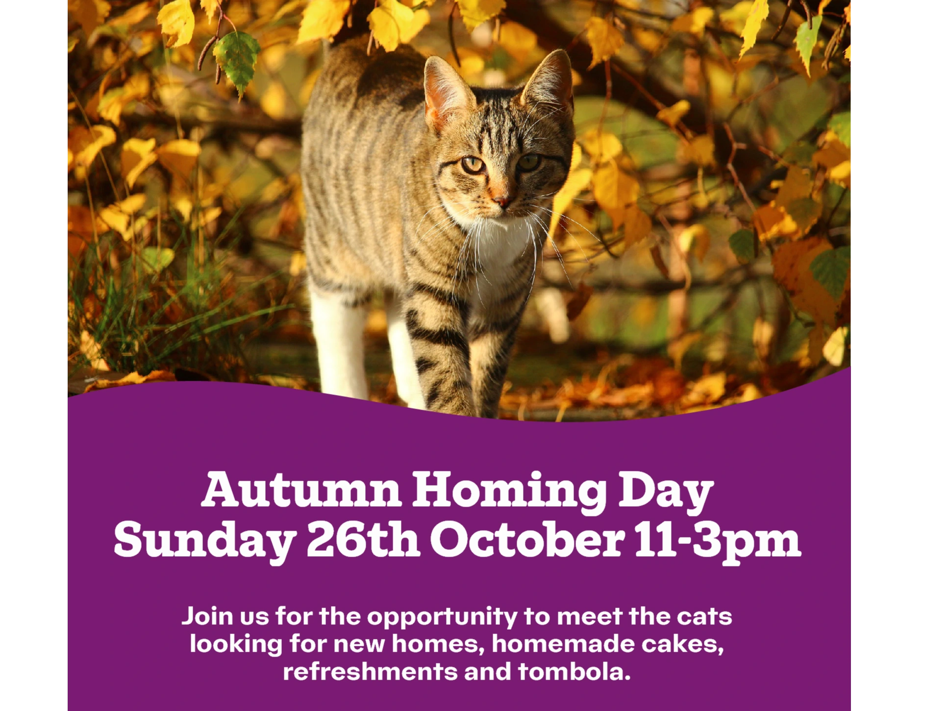 Autumn Homing Day