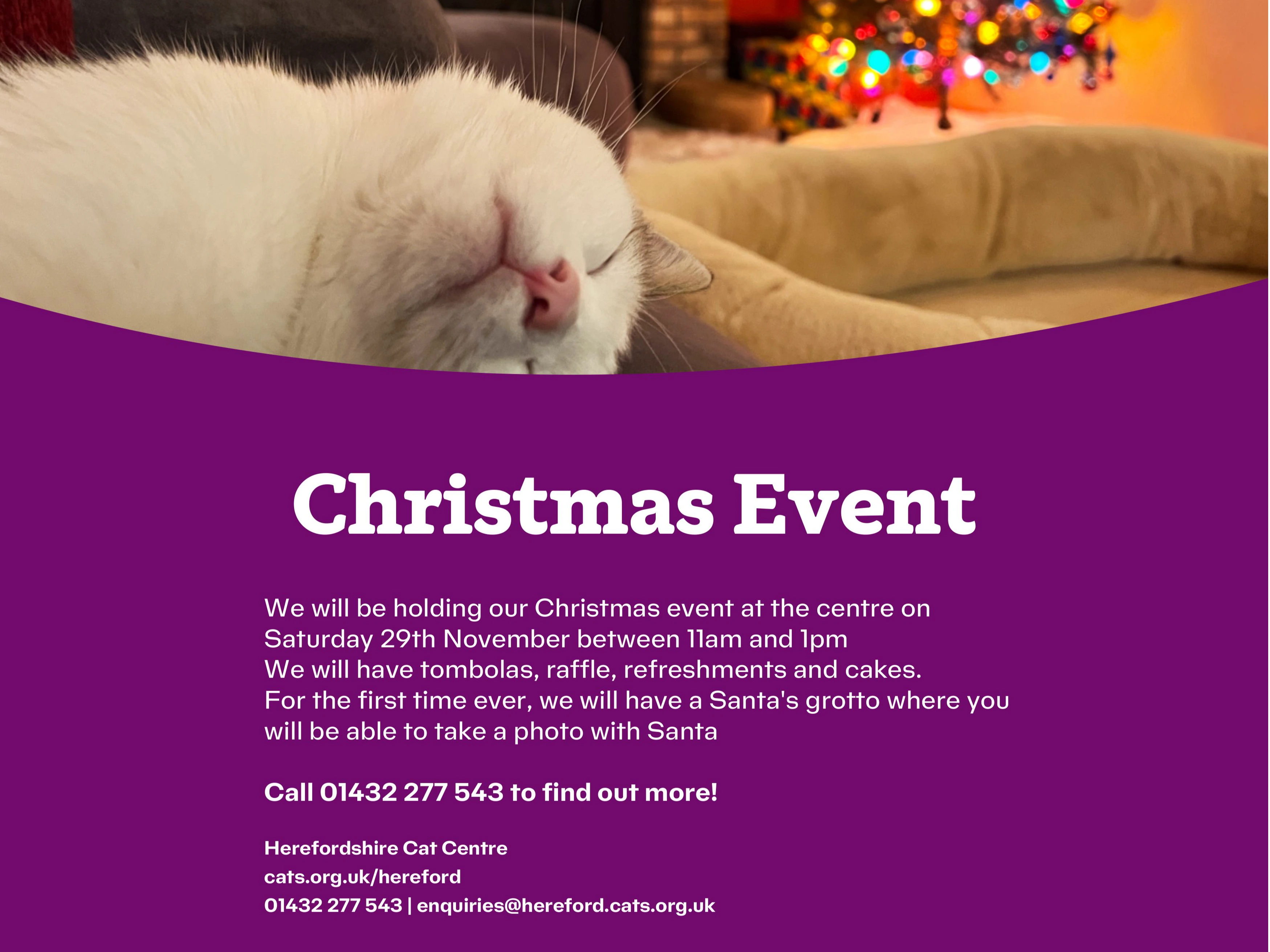 Christmas event