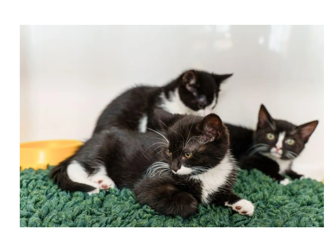 Baldock Community Centre