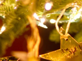 St Thomas’s Christmas Tree Festival 🎄