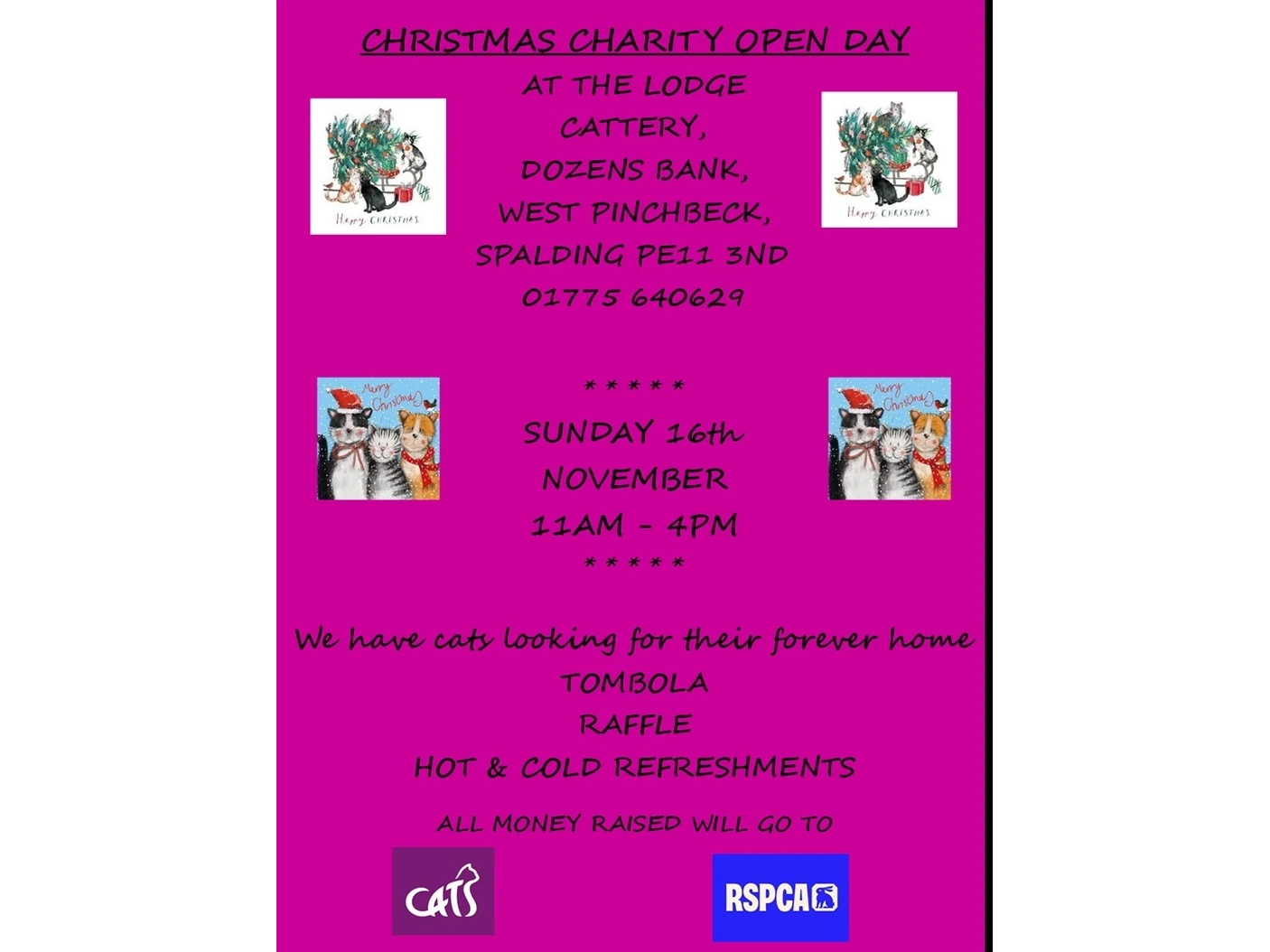 Christmas Charity Open Day
