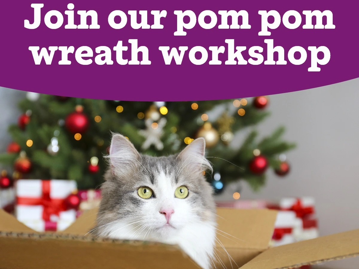 Create your own Pom Pom wreath at our Christmas workshop
