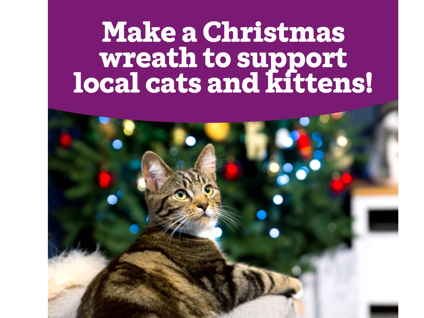 Christmas Wreath Workshop