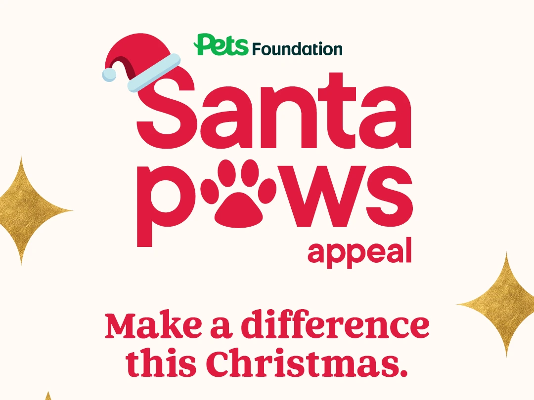 ✨Support us at Pets at Home, Salisbury this December🎅🐾