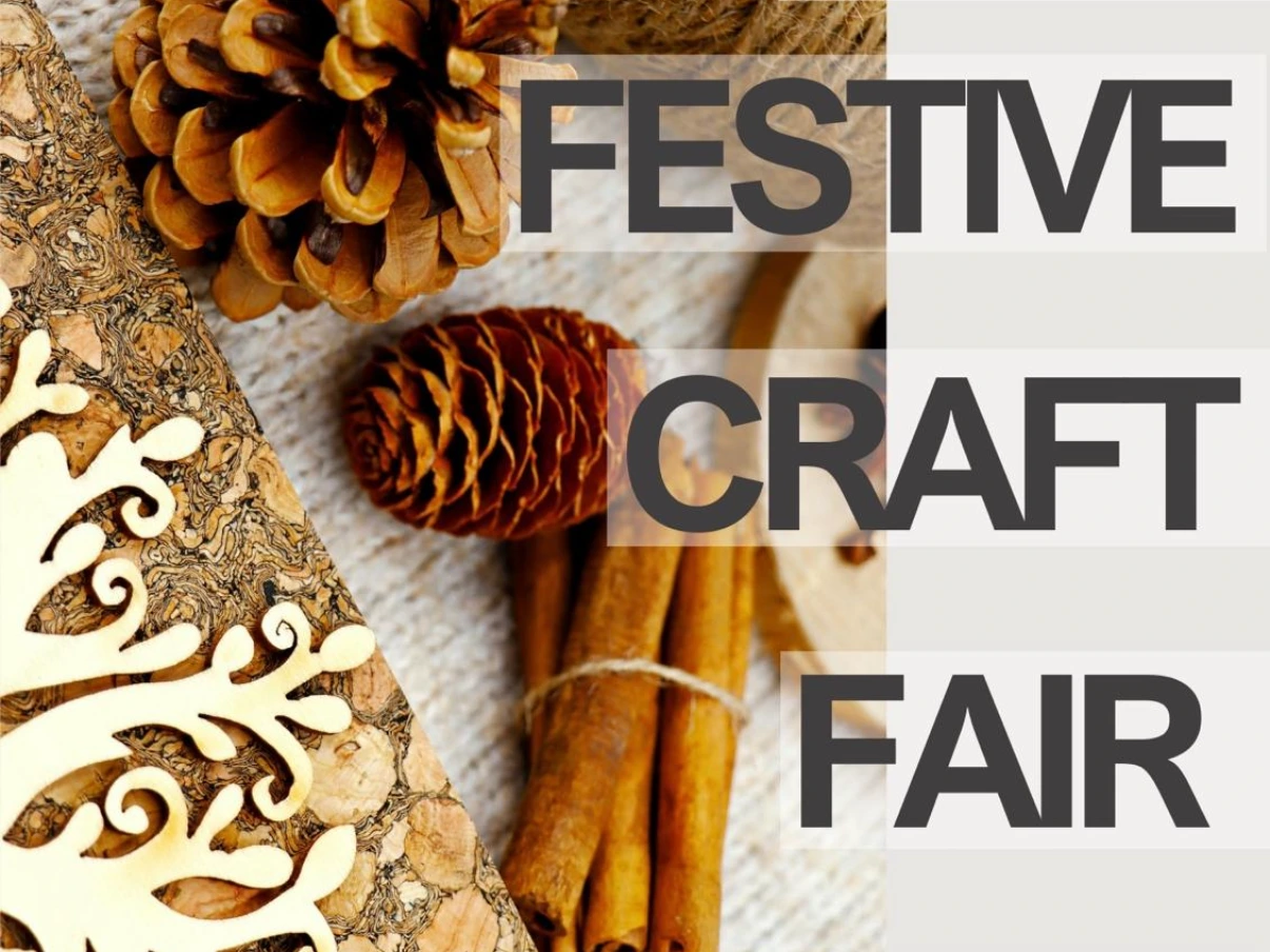 Hull Cat Protection at the Bainton Stop Festive Craft Fair!