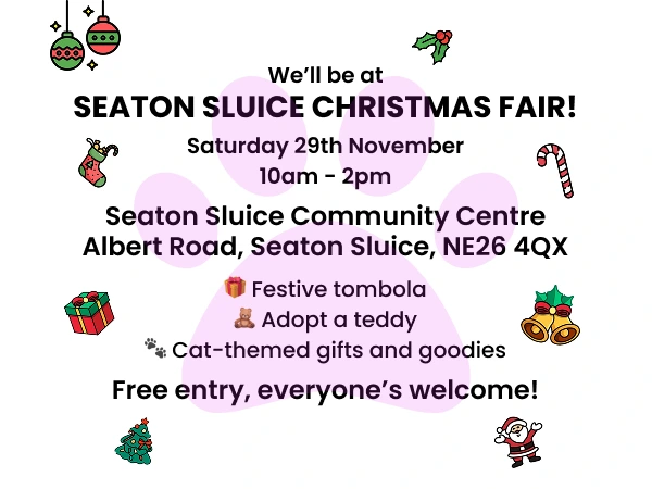 Seaton Sluice Christmas Fair – Join Us for Festive Fun!