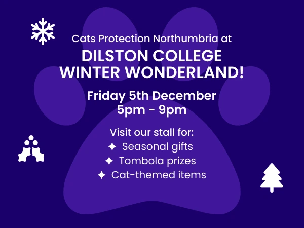 Find Our Stall at Cambian Dilston College's Winter Wonderland