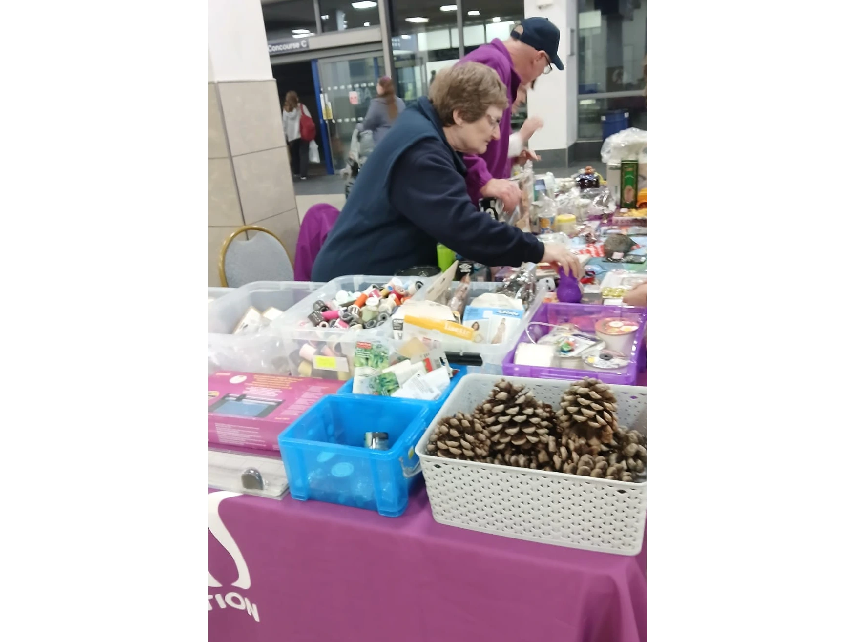 Doncaster Cats Protection Fundraising