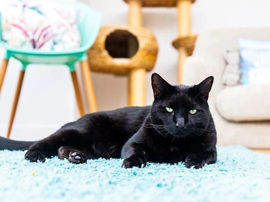 Jumble Sale. Saturday July 18th. 11.30am