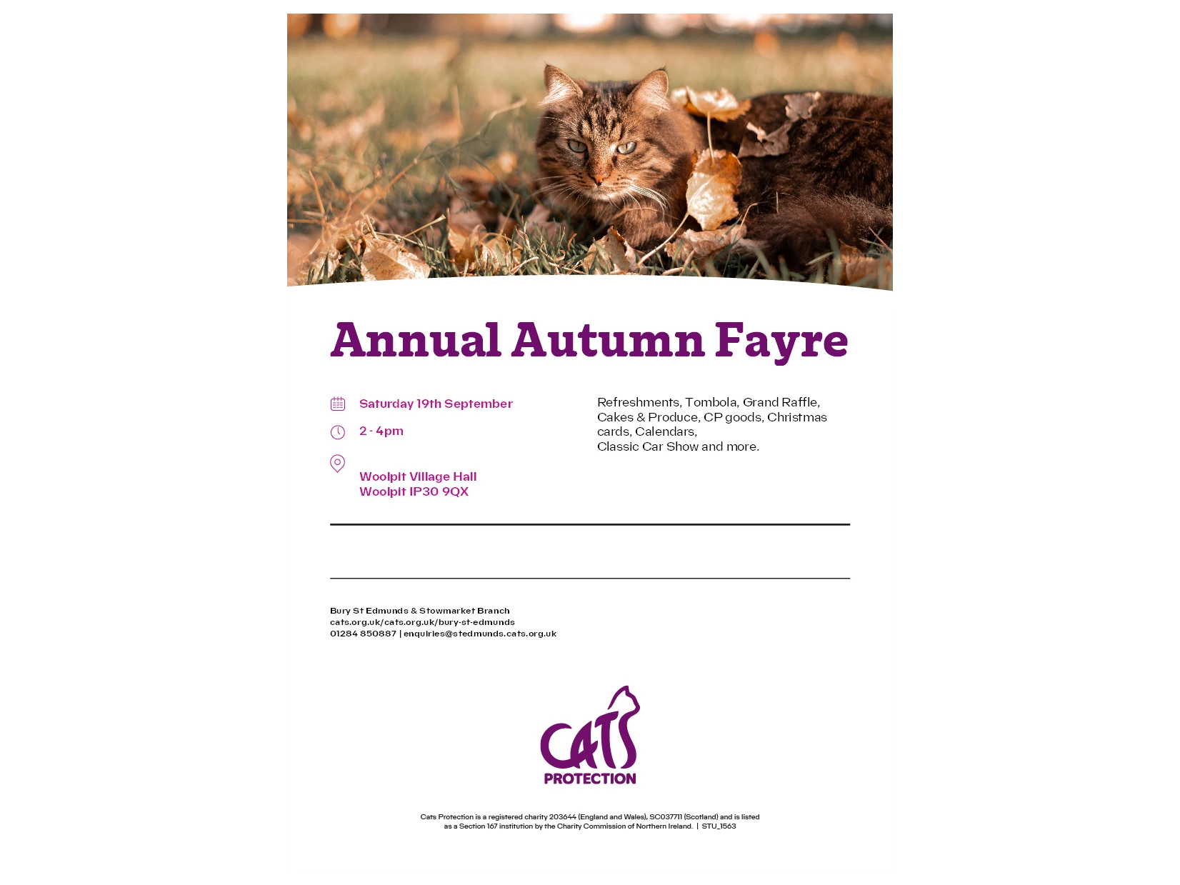 Annual Autumn Fayre