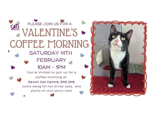Valentines' Coffee Morning
