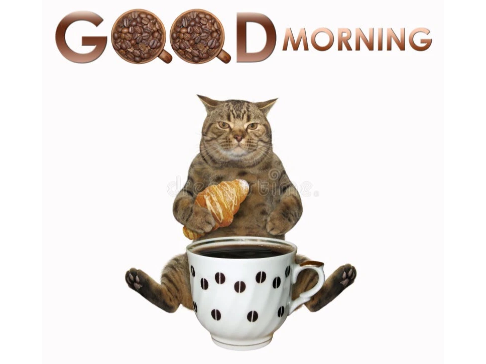 Coffee Afternoon