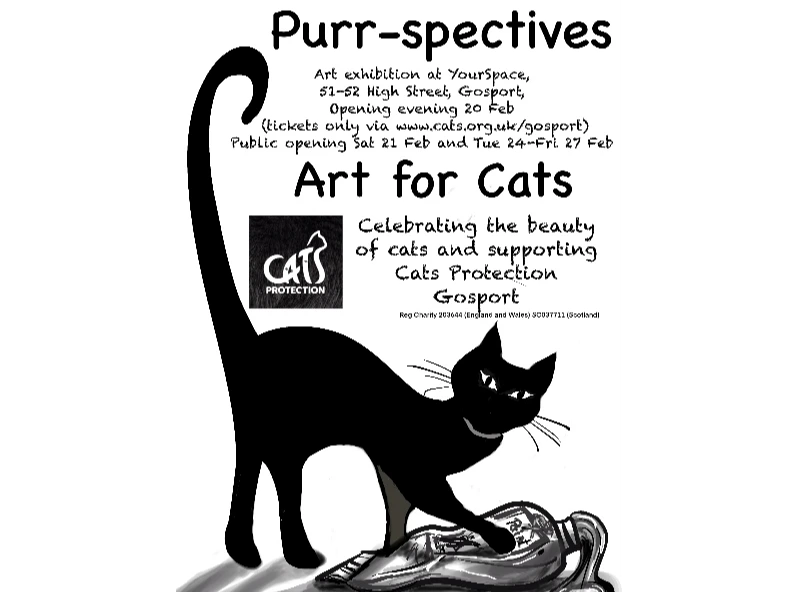 Purrspectives - Art for Cats - Exhibition