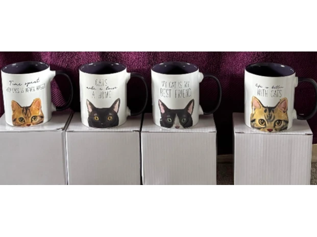 stall at Elson Library Summer Bazaar