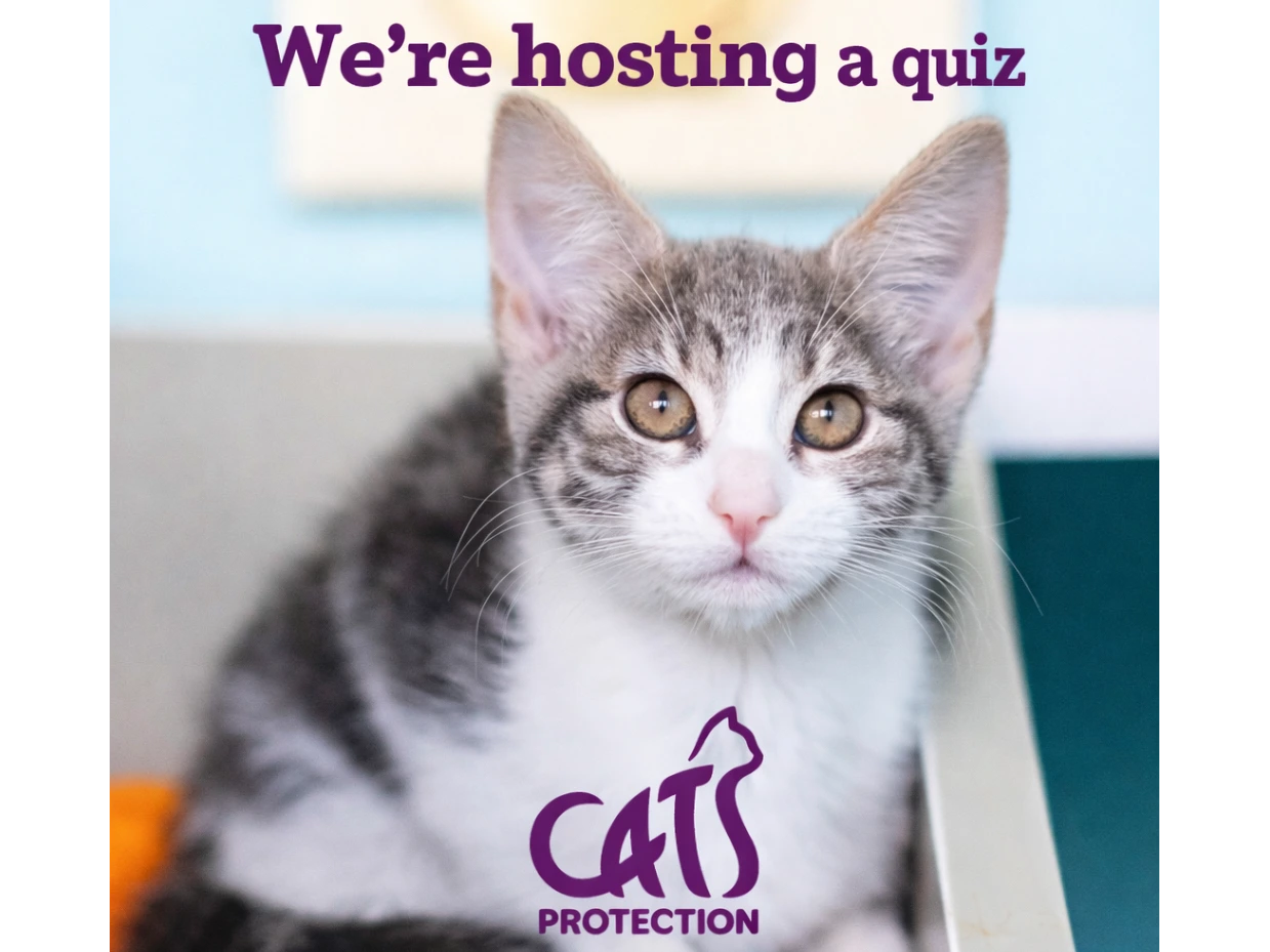 Bournemouth & District Quiz Night