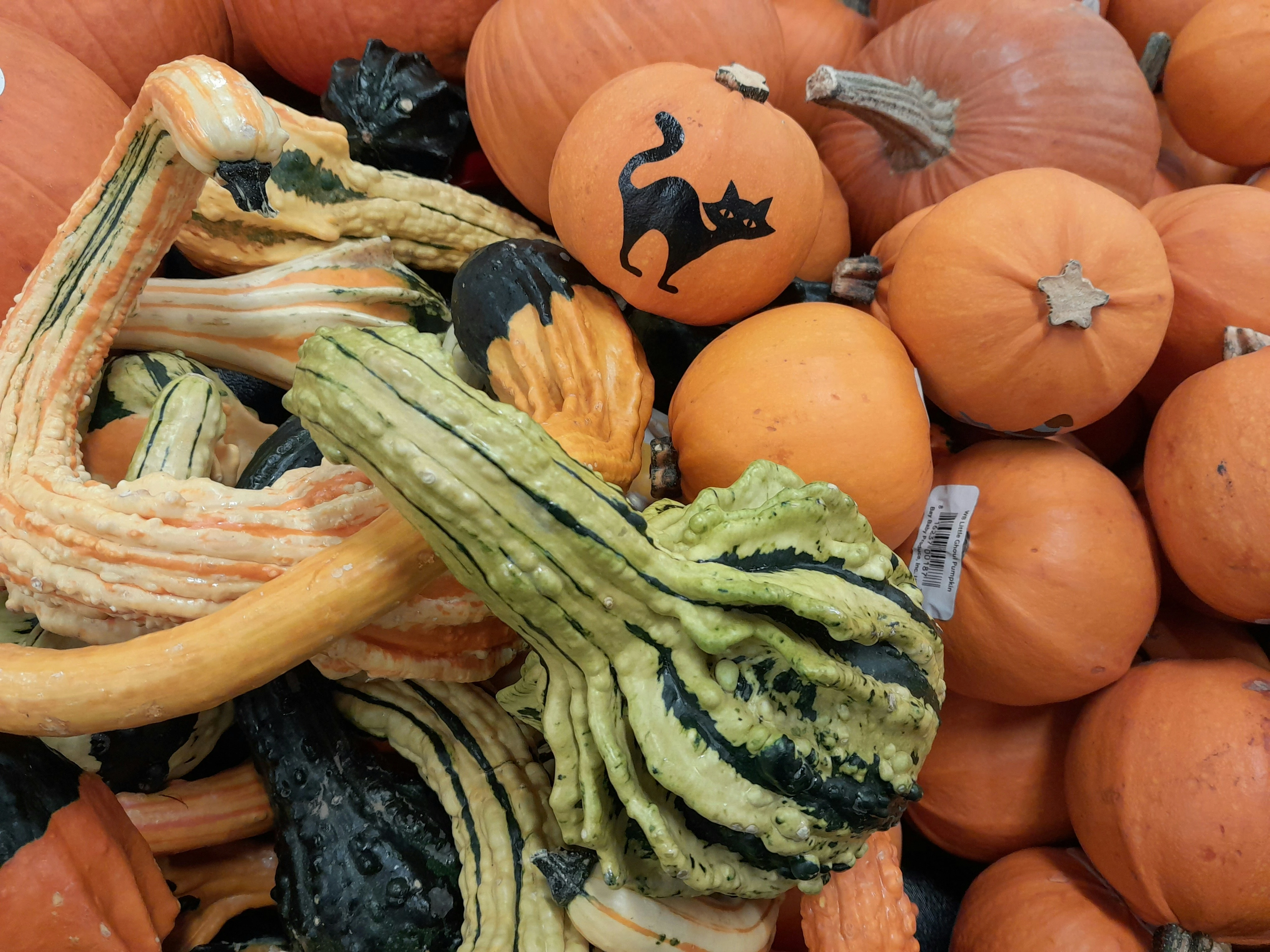 Halloween Fayre