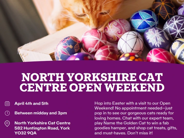 North Yorkshire Cat Centre Open Day