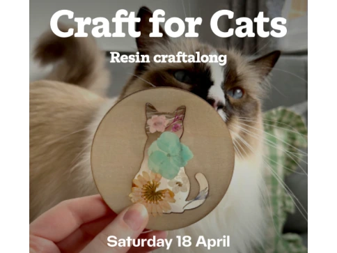 Craft for Cats