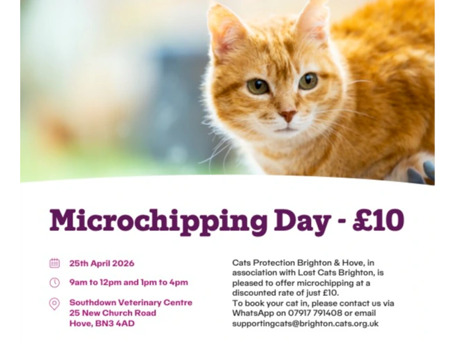 Cat Microchipping Day