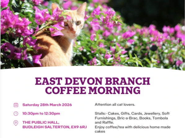 Coffee Morning - Budleigh Salterton