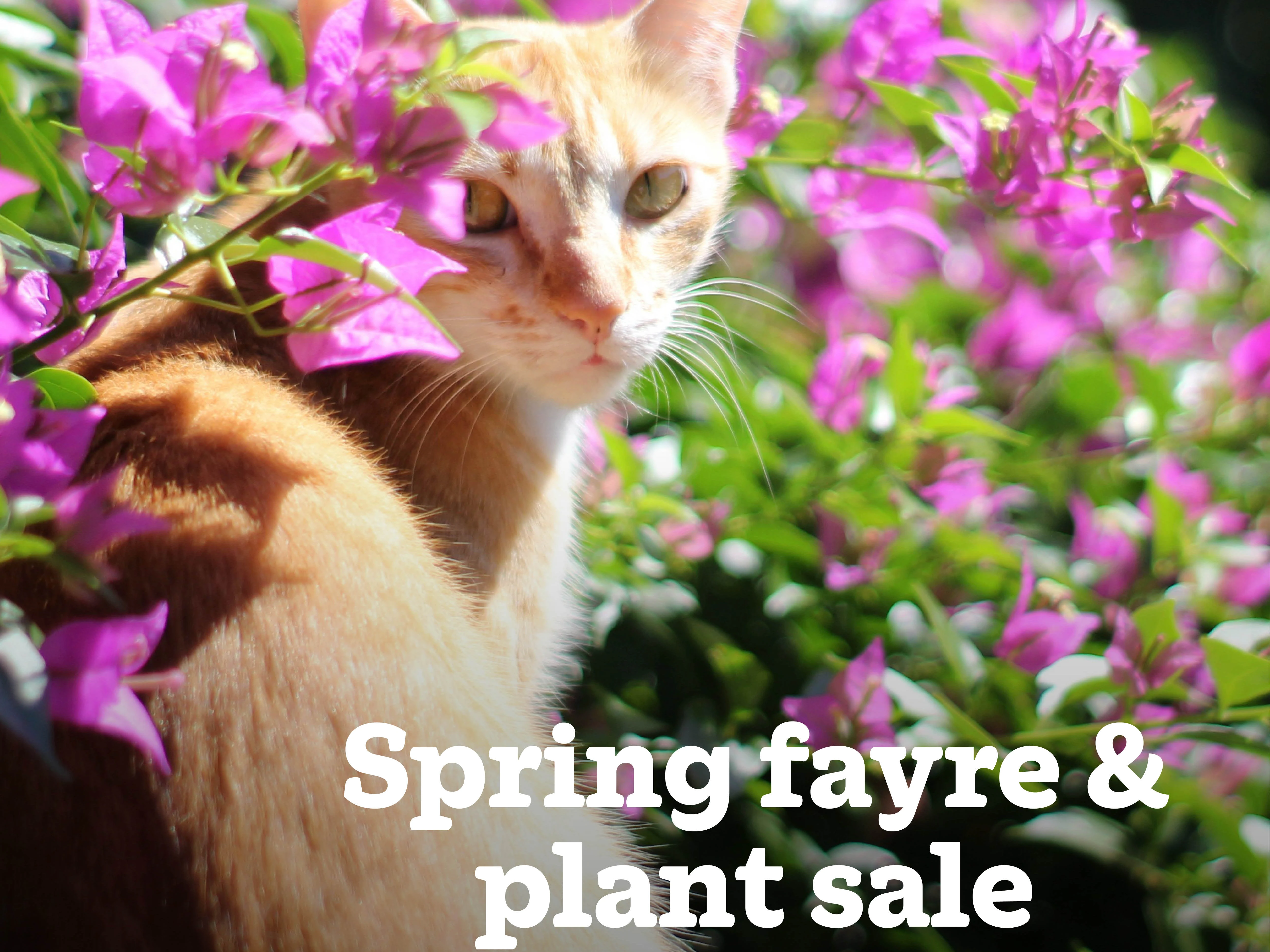 Join us at St B’s Hall, Yaxley for an afternoon of homemade cakes, bric-a-brac and games!