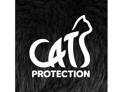 Haslemere CP Adoption Centre Summer Fair