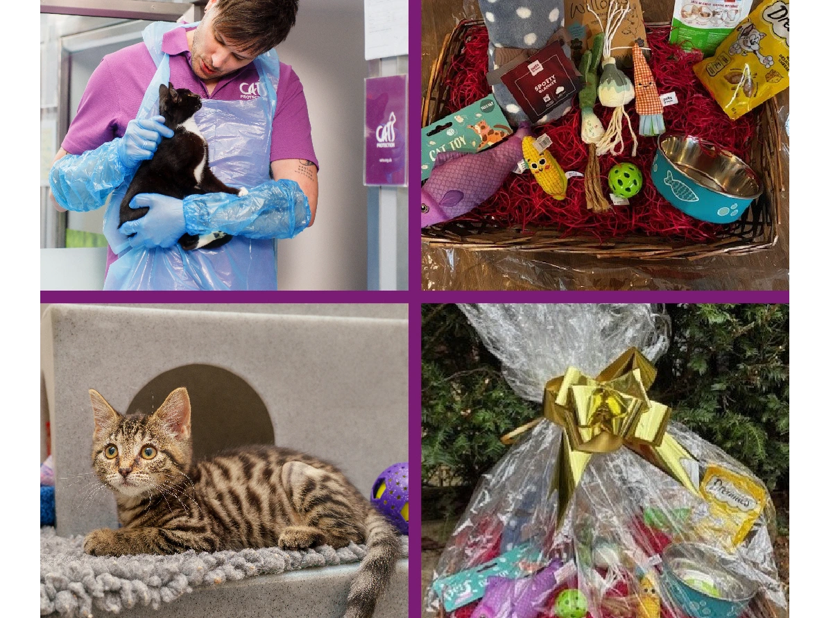 Easter Raffle Cat Care Essentials Hamper