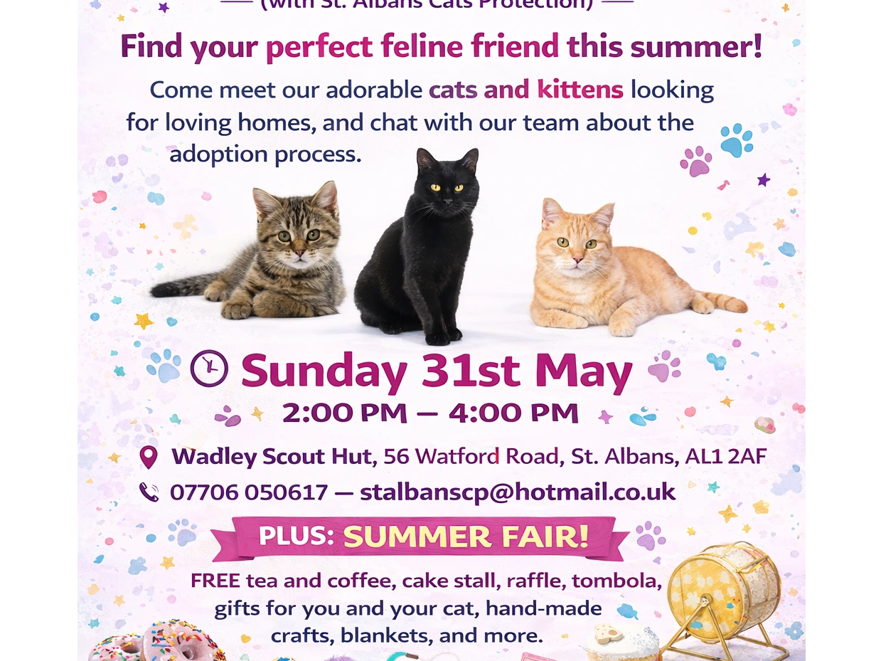 Adoption Day and Summer Fair