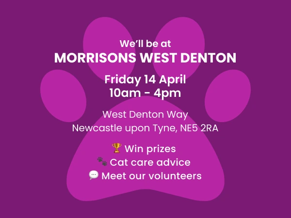 Meet us at Morrisons West Denton