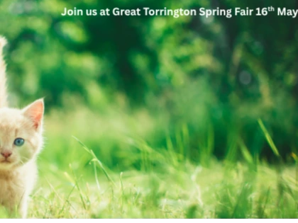 Join us at Great Torrington Spring Fair