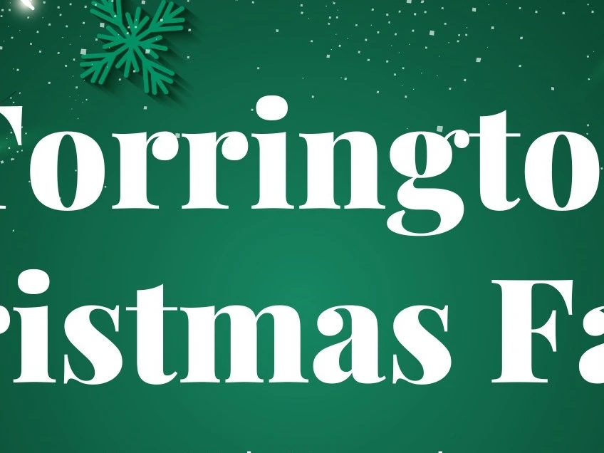 Join Cats Protection Holsworthy, Bideford & Okehampton at the Great Torrington Christmas Fayre!