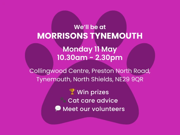 Meet us at Morrisons Tynemouth