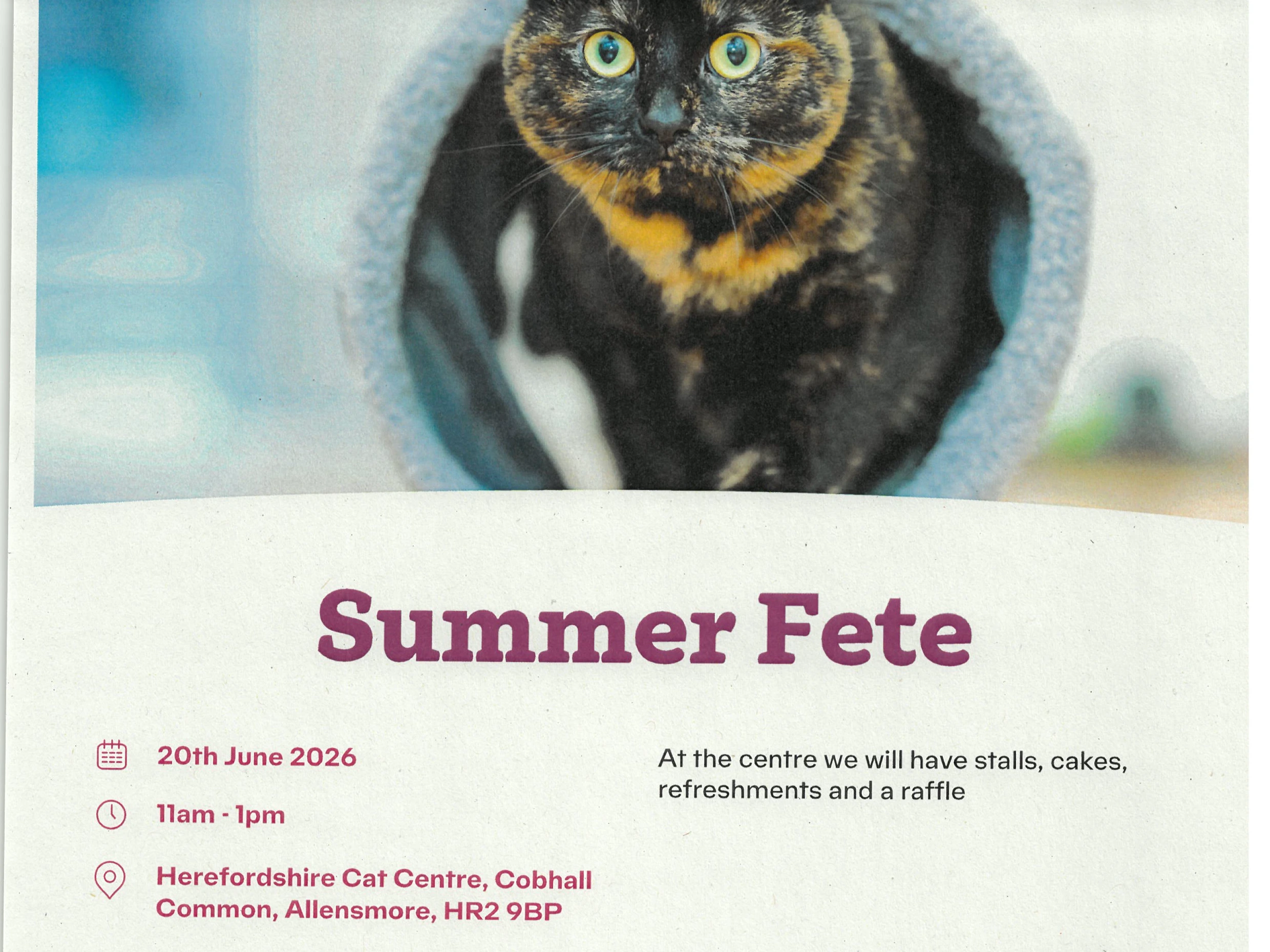 Summer Fete