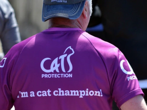 Run the Ipswich Half Marathon in aid of Cats Protection!