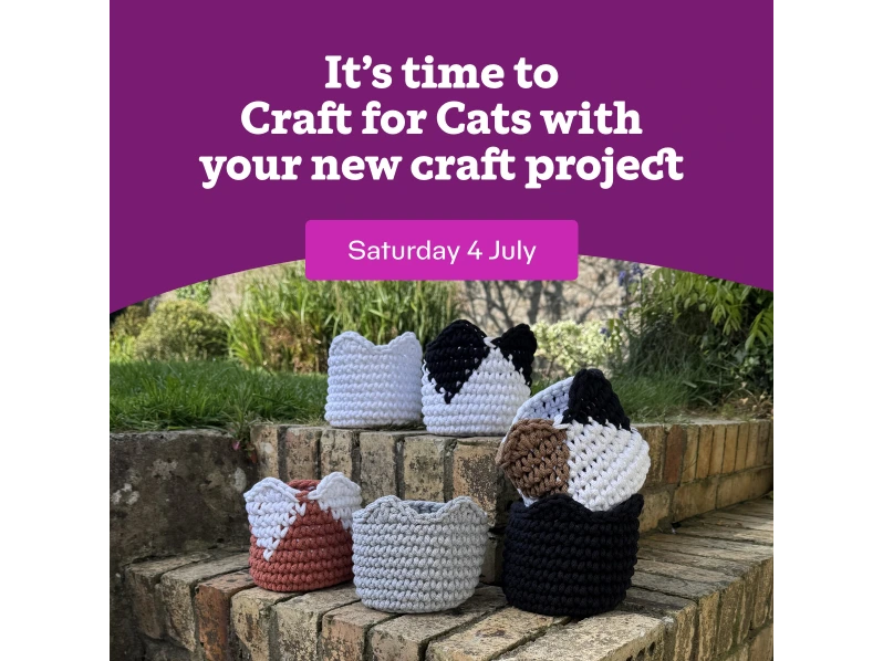 Craft For Cats - 4 July 2026