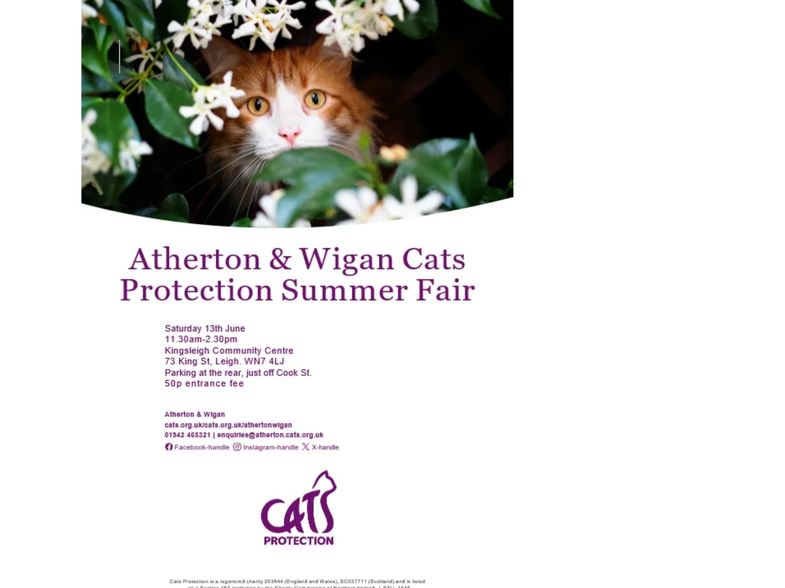 Summer Fair