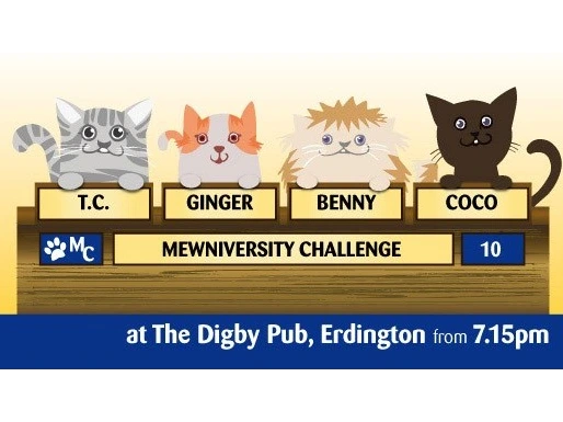 Pub Quiz - 16th November 2026