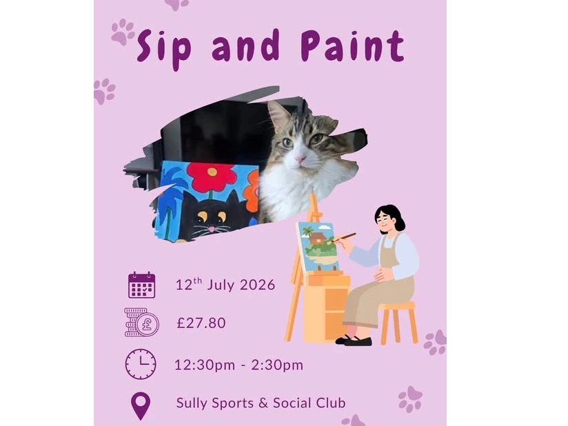 Cats Protection Sip and Paint event!