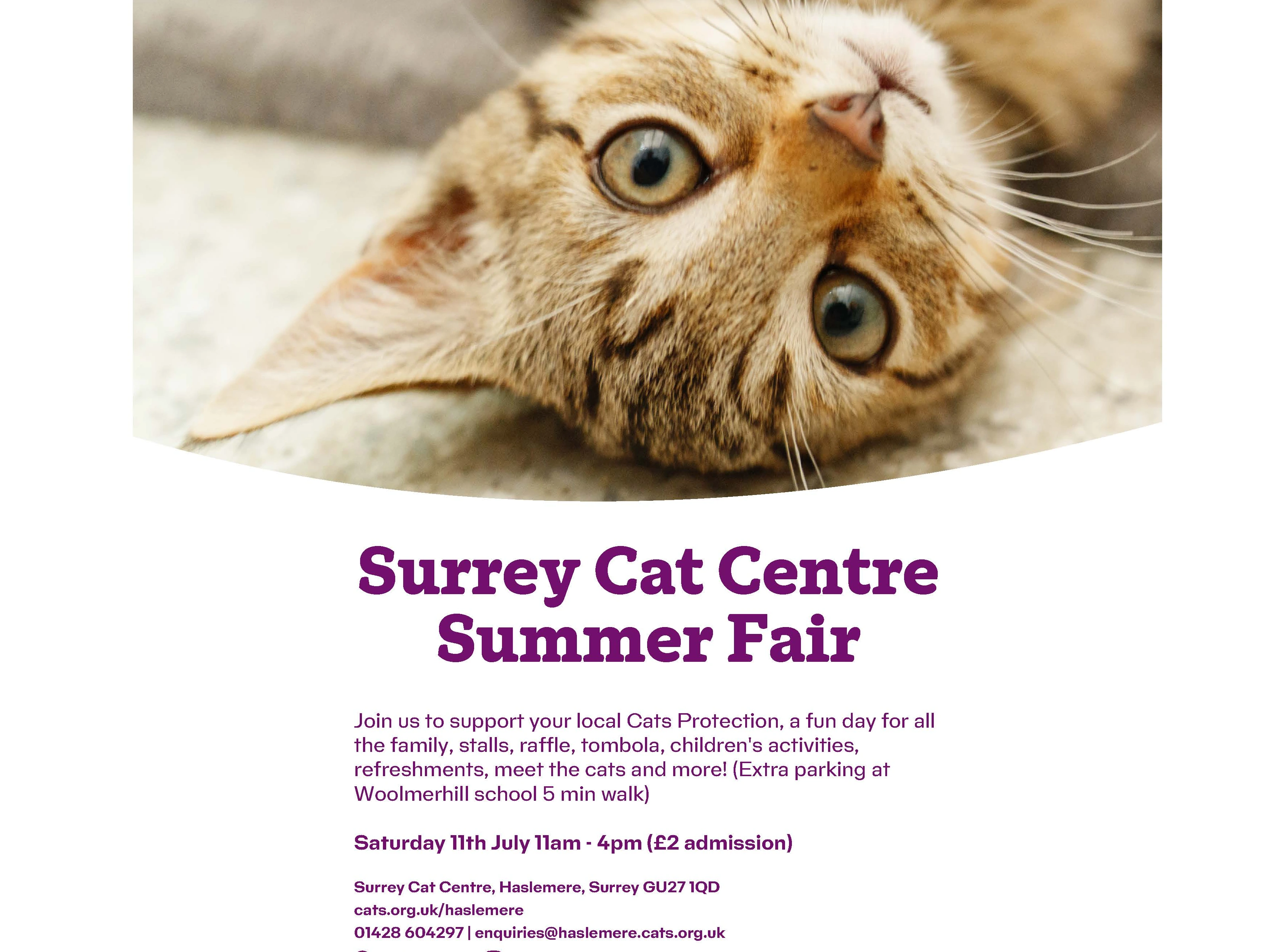 Summer Fair - Saturday 11th July