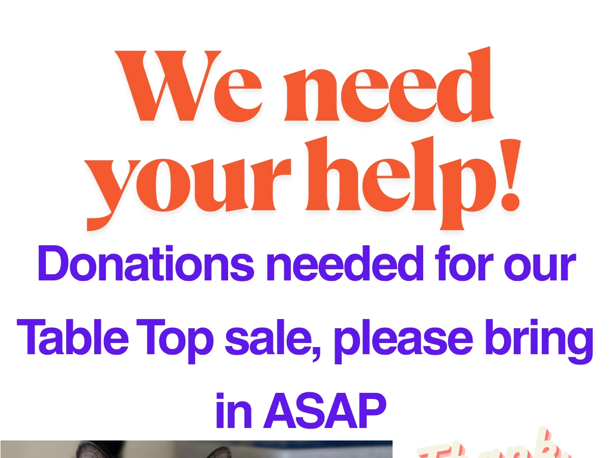 Table Top Sale at IOW Cat Centre