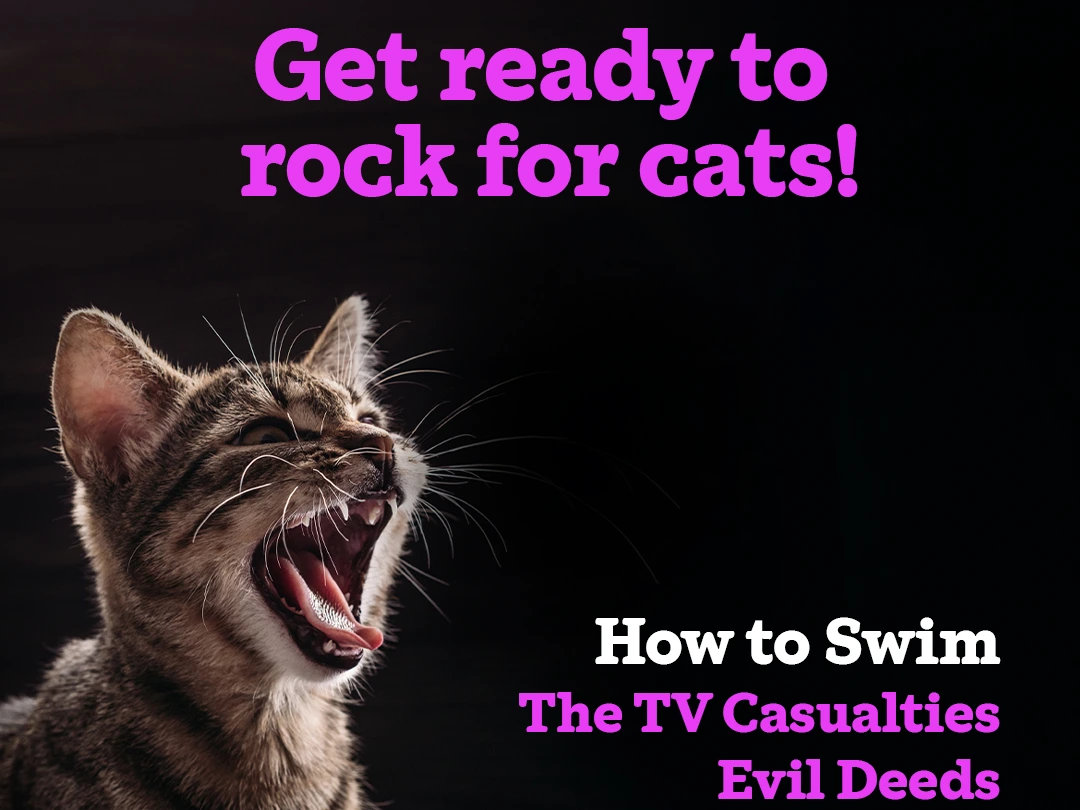Cats Protection Benefit Gig