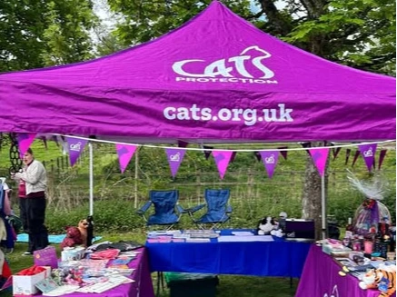 Come and see us in Warminster Park!