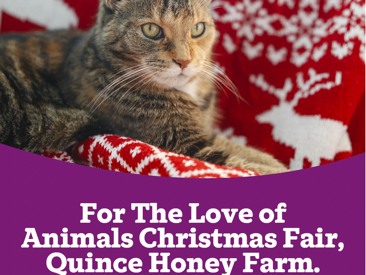 Quince Honey Farm