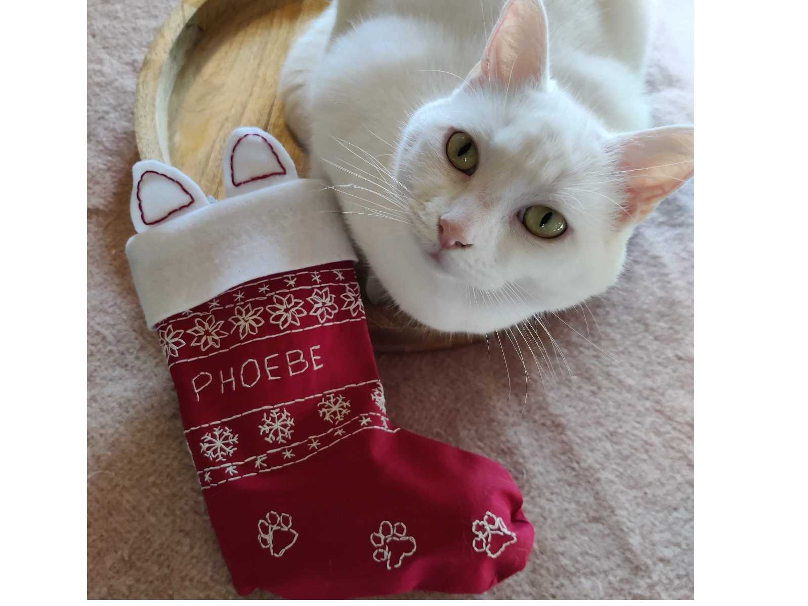 Craft for Cats - Embroidery