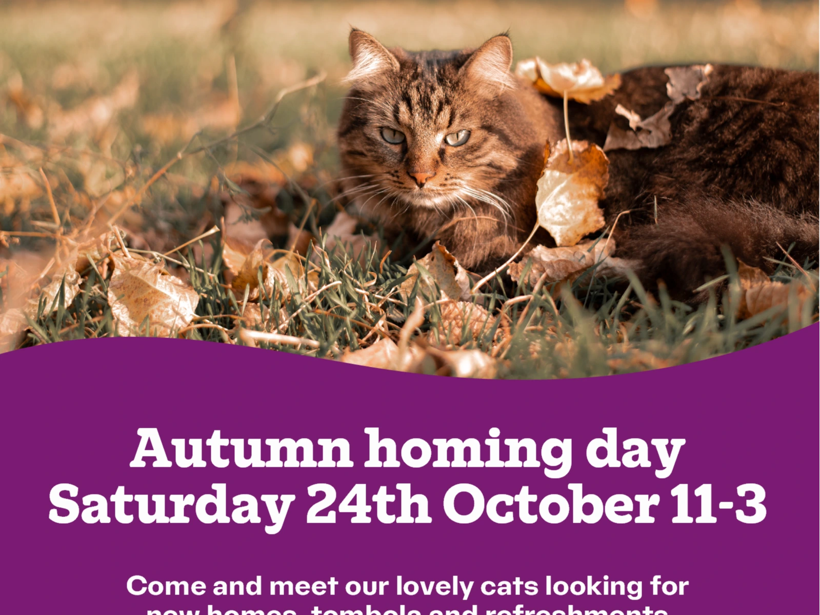 Autumn Homing Day