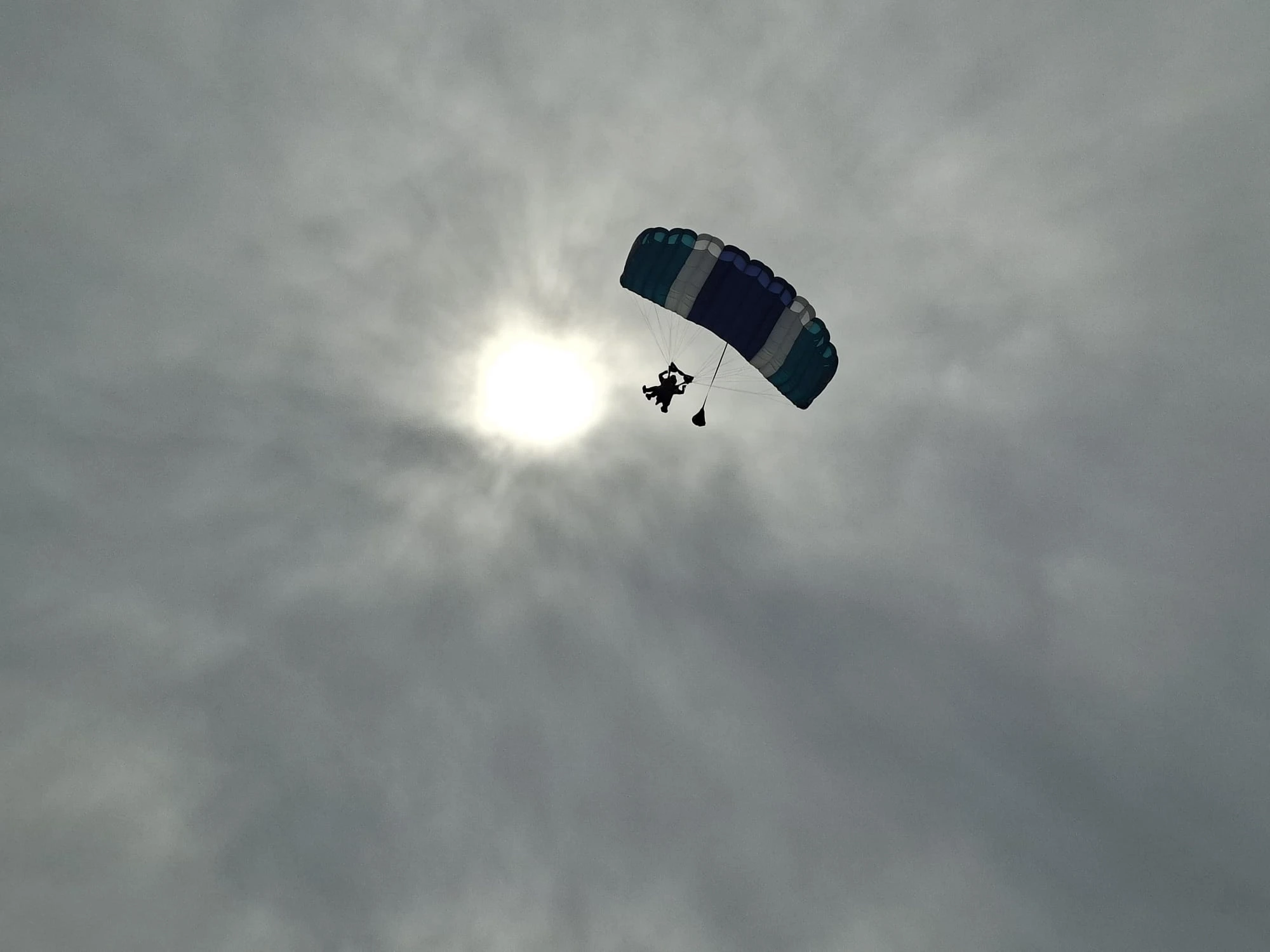 Experience the ultimate thrill and skydive for Cats Protection’s centenary in the Southwest!